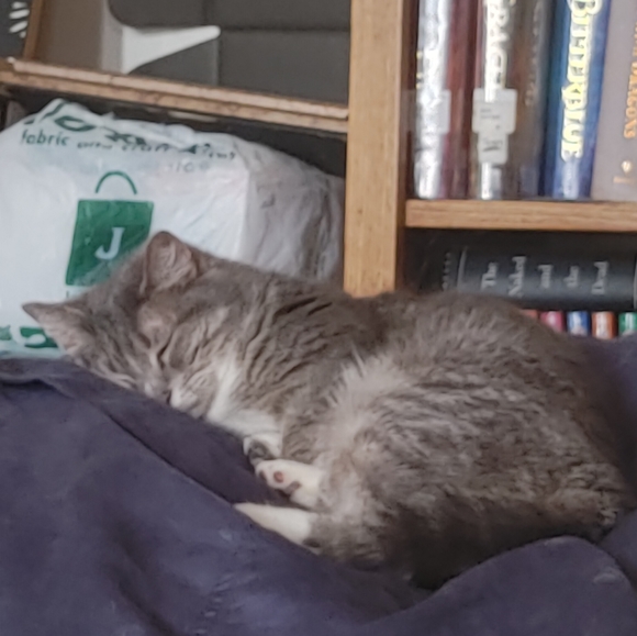 Meet your Posher, Luke - Picture 4 of 5